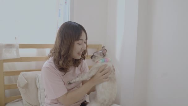 假日4K解像度的概念 亚洲女人和她的猫在房间里玩耍 — 图库视频影像