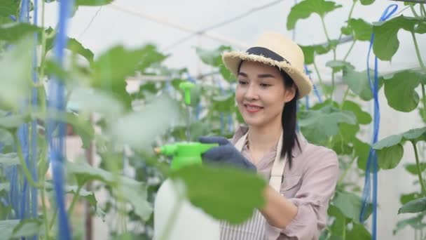 Landwirtschaftliches Konzept Der Auflösung Asiatin Sprüht Insektizide Auf Obstbäume Garten — Stockvideo