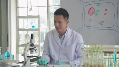 Araştırma konsepti 4K çözünürlüğü. Laboratuvarda çalışan Asyalı erkek bilim adamı.