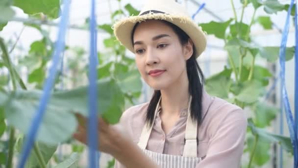 Landbouwconcept Van Resolutie Aziatische Vrouw Het Nemen Van Notities Naar — Stockvideo