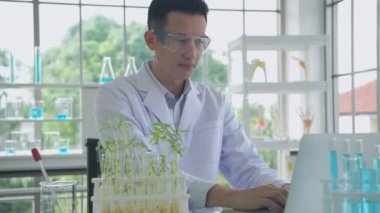 Research concept of 4k resolution. Asian scientists are researching plant growth in the laboratory.