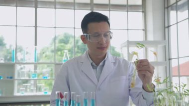 Research concept of 4k resolution. Asian scientists are describing plant growth observations in the laboratory.