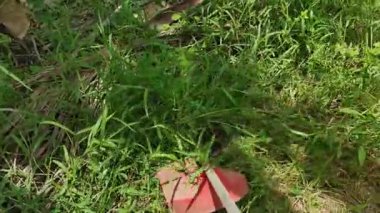 4k Çözünürlük Tarım Konsepti. Bahçedeki çimleri biçen çiftçiler.