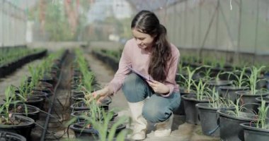 4K çözünürlüğünün tarım konsepti. Okul çocukları mısır fidelerini inceler ve tarım eğitim merkezinde veri kaydetmek için tablet kullanır..