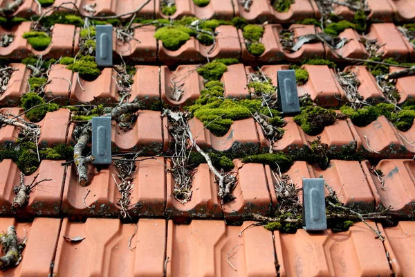 Rote Dachziegel Mit Grauen Mit Frischem Grünen Moos Und Kleinen — Stockfoto