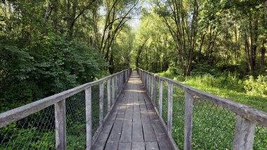 Uzun, ahşap köprü, tel örgülü korkuluklar, uzun yapraklı ağaçlar ve yemyeşil ormanlarla çevrili, yoğun, güneşli bir ormana uzanıyor ve sakin bir doğal yol oluşturuyor..