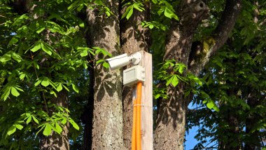 Çağdaş güvenlik kamerası turuncu kanal ve elektrik kutusuyla ahşap bir direğe monte edilmiş, yoğun yeşil yapraklar ve ağaçların gövdesiyle çevrili.