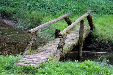 Kaba ahşap kalaslardan yapılmış dar bir köprü ve basit korkuluklardan oluşan kütükler, yemyeşil çimenler ve sakin bir ormandaki yoğun yeşilliklerle çevrili sığ bir dereyi geçer.