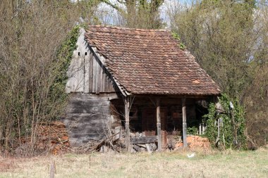 Eğimli kiremit çatılı eski ahşap kulübe ve sarkık veranda, soluk bir gökyüzü altında yapraksız çalılar ve yabani otlarla çevrili, fazla büyümüş bir tarlada duruyor.