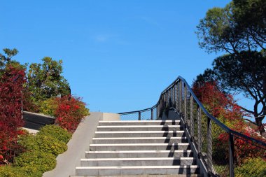 Parkta açık mavi bir gökyüzü altında kırmızı ve yeşil çalılar ve uzun çam ağaçlarının yer aldığı, bahçeli yeşillik boyunca uzanan parlak metal korkuluklu geniş beton adımlar.