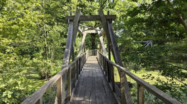 Yapraklı ağaçların arasından süzülen güneş ışığıyla çevrili yoğun yeşil ormandan geçen parmaklıklı ahşap köprü ve dayanıklı kirişler..