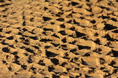 Sayısız derin ayak iziyle işaretlenmiş kumlu zemine yakın çekim. Her biri sıcak altın güneş ışığı altında keskin gölgeler bırakıyor. Dokuları ve insan varlığını vurguluyor.