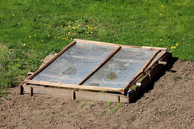 Temiz plastik kapaklı el yapımı ahşap bir çerçeve, baharın başlarında veya sonbaharın sonlarında genç bitki ve fidanlara temel sıcaklık ve koruma sağlayan bahçe toprağının üzerinde yer alır.