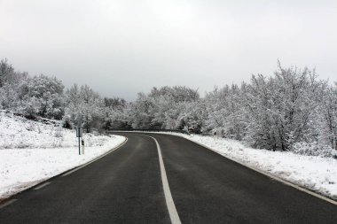Pürüzsüz bir asfalt yol, soğuk havada barışçıl bir yolculuk çağrıştıran bulutlu bir gökyüzü altında, taze kar ve buzla kaplı yoğun ağaçlarla çevrili sakin bir kış manzarası boyunca yavaşça kıvrılır.