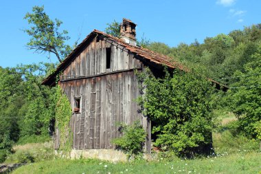 Kırsal ahşap bir kulübe, kırmızı kiremit çatılı ve ufalanan baca üzerinde otlar, yabani çalılar, çalılar ve duvarlarına tırmanan sarmaşık sarmaşık sarmaşığı var.