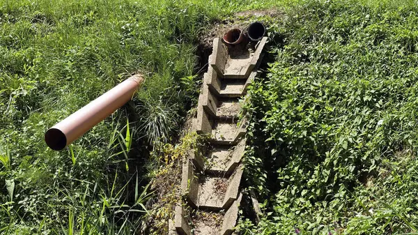 Beton basamaklı drenaj kanalı üç açık boruya bağlanıyor, aşırı gelişmiş çimenler ve geniş yapraklı santrallere gömülü, kırsal su akışı yönetimini vurguluyor