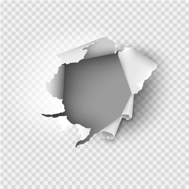 Şeffaf arka planda yırtık bir kağıt parçası yırtılmış. Vektör illüstrasyonu