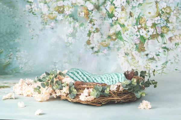 Floral branches and nest Newborn digital photography background / backdrop