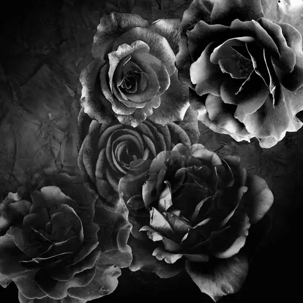 Çiçekli ipek eşarp tasarımı, eskimiş arka planda siyah beyaz güller.