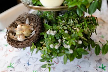 Benekli yumurtalarla dolu büyüleyici bir yuva canlı yeşillik yatağının üzerinde uzanır ve bahar sükunetinin özünü yakalar. Sıcaklık ve ahenk yayar, huzurlu bir anı davet eder..