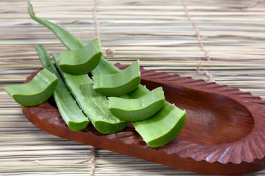 Aloe Vera veya Aloevera