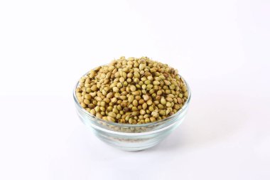 Sabut Dhaniya veya Kişniş Tohumu, Masala, Hint Baharatı