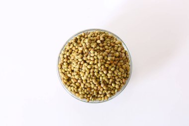 Sabut Dhaniya veya Kişniş Tohumu, Masala, Hint Baharatı