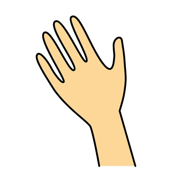 Parte Posterior Mão Ilustração — Fotografia de Stock