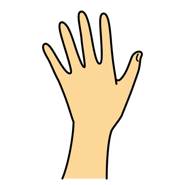 Задняя Часть Руки Пальцы Иллюстрация — стоковое фото
