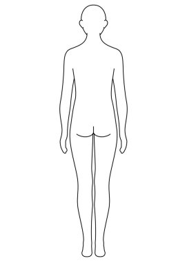 İnsan vücudu ana hatları, sırtı, tek renkli çizimler
