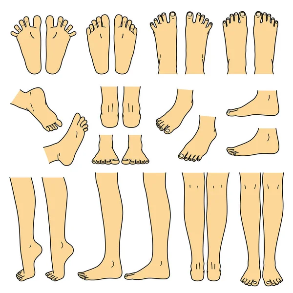 Ноги Ноги Коліно Ноги Векторний Набір Файлів — стоковий вектор