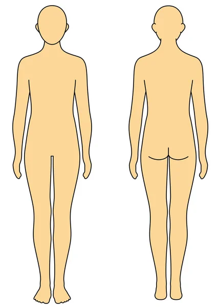 Human Body Outline Front Back Illustration — Fotografia de Stock