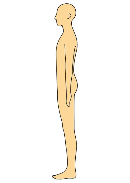 Human Body Outline Side Illustration — Fotografia de Stock