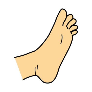 bare foot, bottom of foot, illustration