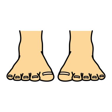 bare foot, toe, front view, illustration
