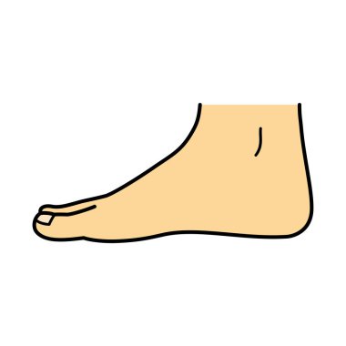 bare foot, side view, illustration