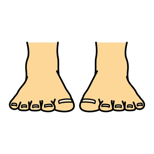Голі Ноги Ноги Вид Спереду Ілюстрація — стокове фото
