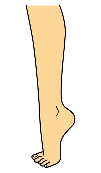 Γυμνό Πόδι Πόδι Μύτες Πλευρική Άποψη Εικονογράφηση — Φωτογραφία Αρχείου