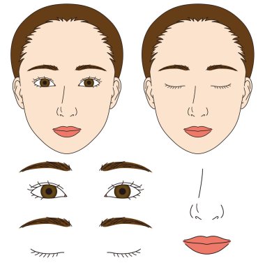 kadın yüz kısımları, illüstrasyon vektör dosyası
