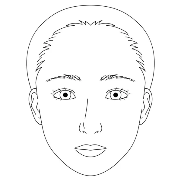Женское Лицо Глаза Двойными Веками Эпикантальный Сгиб Миндальные Глаза Набросок — стоковый вектор