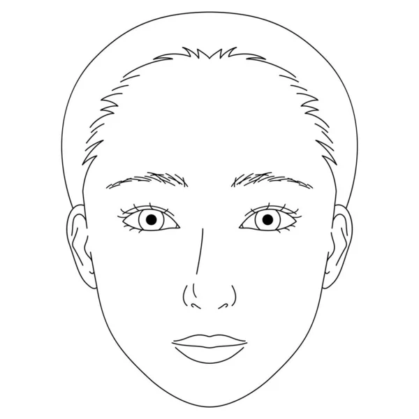 Женское Лицо Двойные Веки Миндальные Глаза Набросок Иллюстрации — стоковый вектор