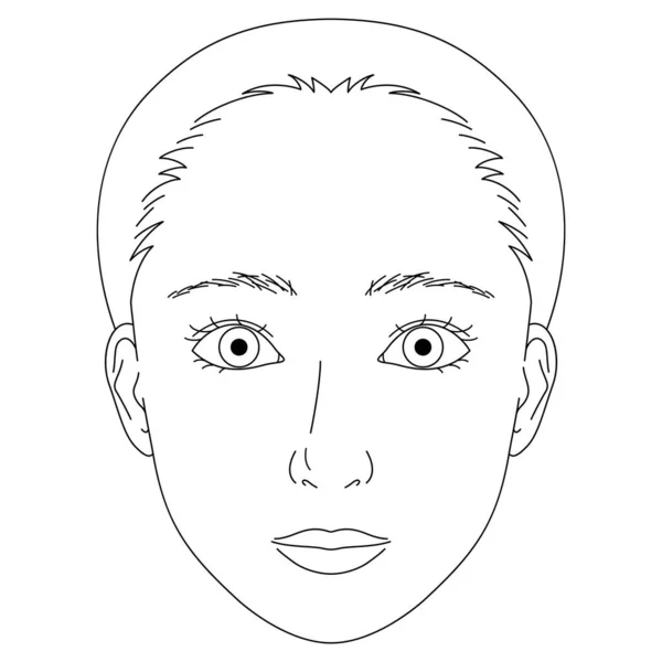 Žena Tvář Dvojitá Víčka Velké Oči Obrys Ilustrace — Stockový vektor
