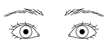 Kadın gözleri, çift göz kapakları, büyük gözler, taslak çizimler.
