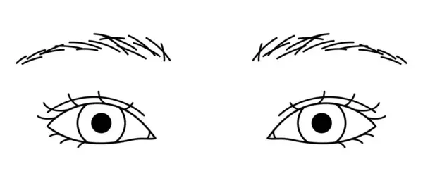 Глаза Женщины Двойные Веки Миндальные Глаза Набросок Иллюстрации — стоковый вектор