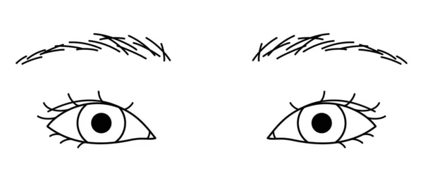 Ojos Mujer Doble Párpado Oculto Ojos Almendra Esquema Ilustración — Vector de stock