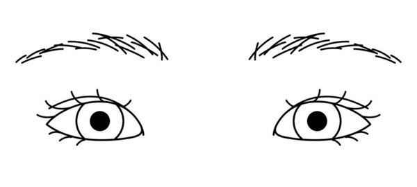 woman eyes, hidden double eyelid eyes, epicanthal fold, Almond eyes ,outline illustration