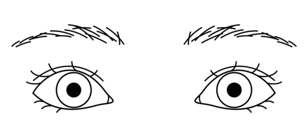 Kadın Gözleri Çift Göz Kapakları Büyük Gözler Taslak Çizimler — Stok Vektör