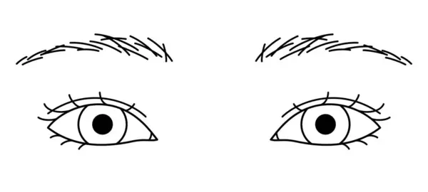 Olhos Mulher Pálpebras Duplas Olhos Amêndoa Ilustração Esboço — Vetor de Stock