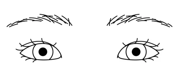Olhos Mulher Olhos Pálpebra Dupla Escondidos Prega Epicantal Olhos Amêndoa — Vetor de Stock