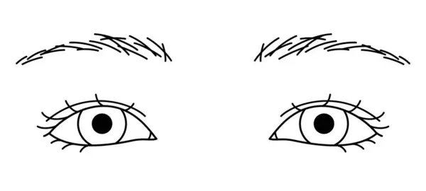 Olhos Mulher Pálpebras Duplas Olhos Virados Para Baixo Ilustração Esboço — Vetor de Stock